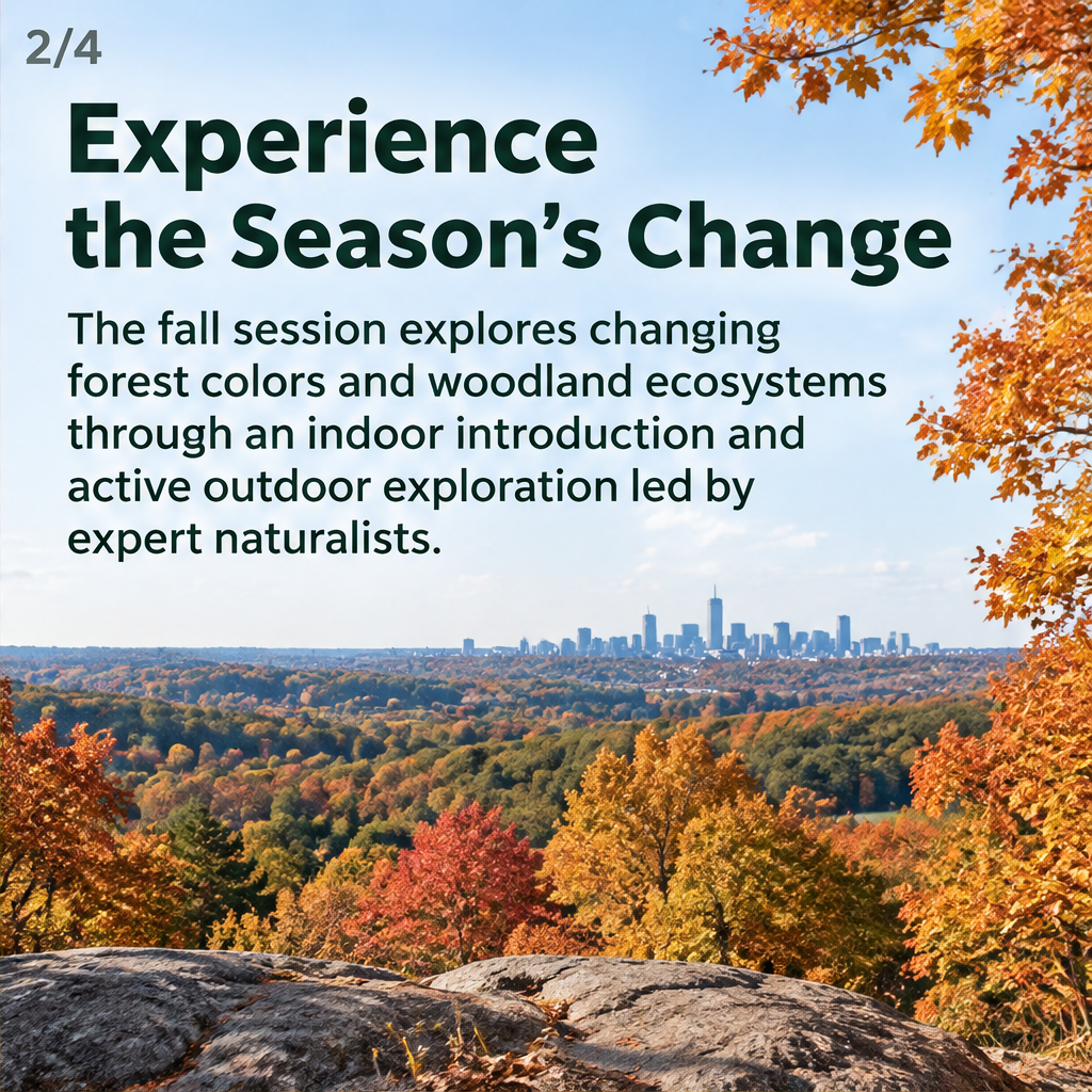 A Nature Year at Trailside Museum & Chickatawbut Hill: Fall — slide 2 of 5