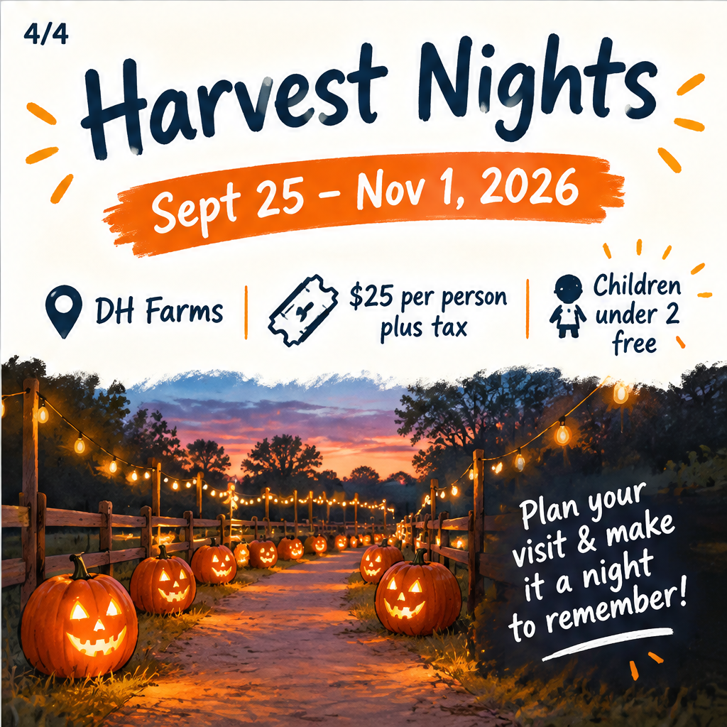 Harvest Nights — slide 4 of 5