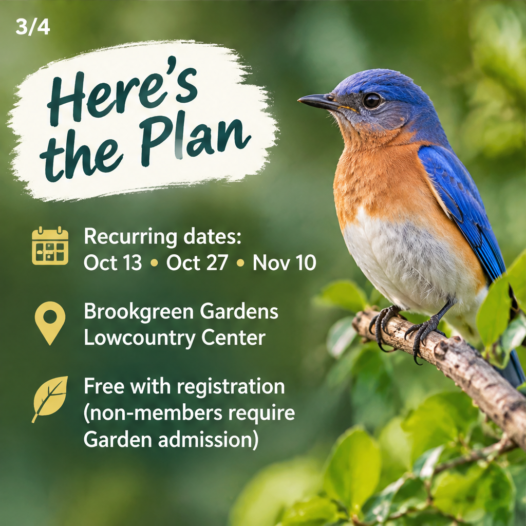 Breakfast with the Birds - Harmony in Nature Series — slide 3 of 5