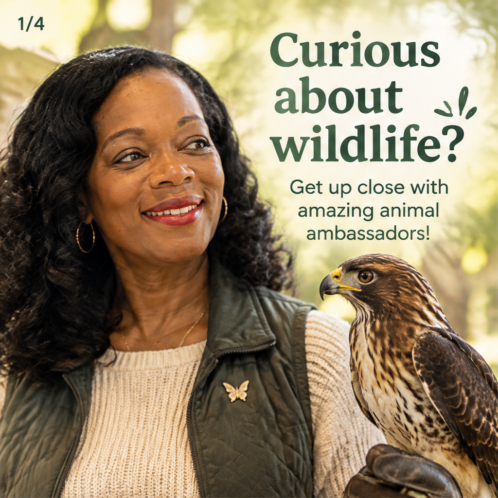Animal Encounters at Clearwater — slide 1 of 5