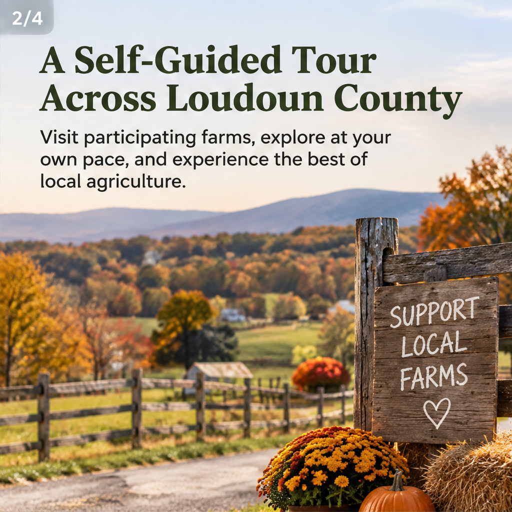 Loudoun Fall Farm Tour 2026 — slide 2 of 5