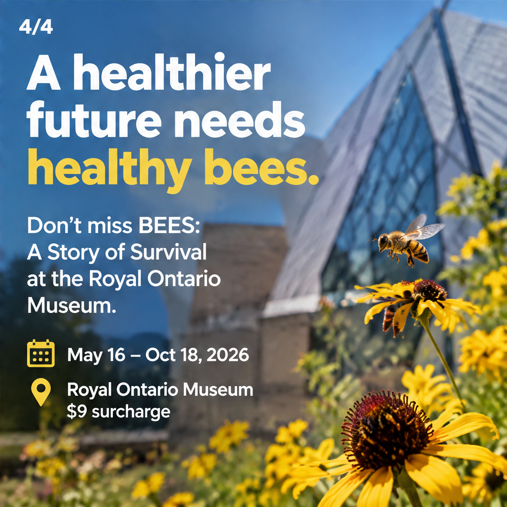 BEES: A Story of Survival — slide 4 of 5