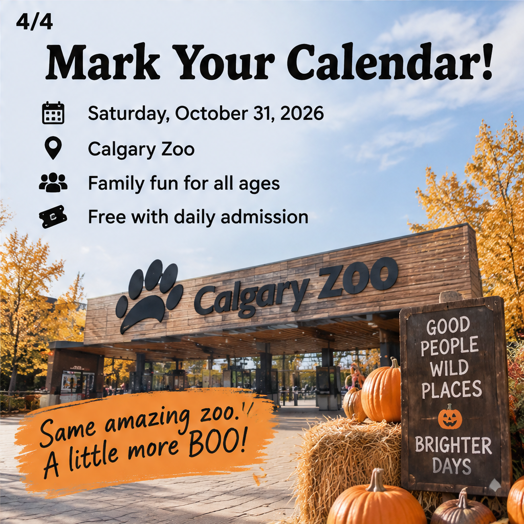 ZooBOO — slide 4 of 5