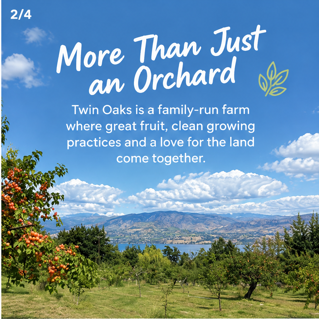 Twin Oaks Organic Orchard — slide 2 of 4
