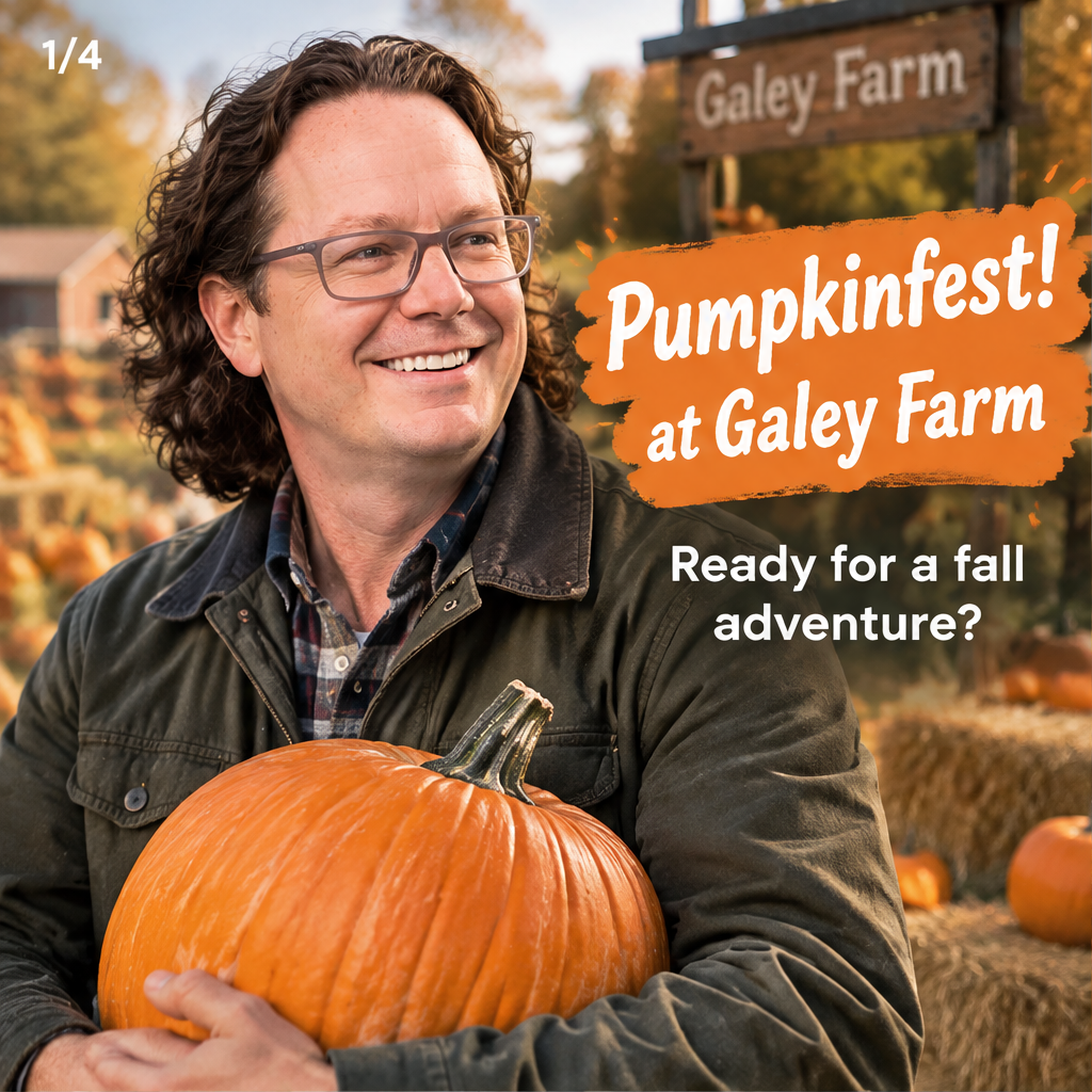 Pumpkinfest! at Galey Farm — slide 1 of 5