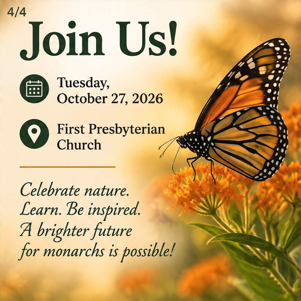The Lifecycle of the Monarch Butterfly — slide 4 of 5