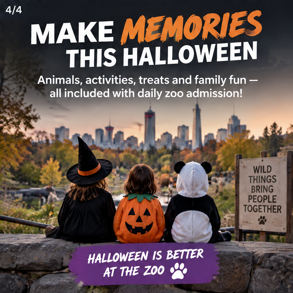 ZooBOO — slide 4 of 5