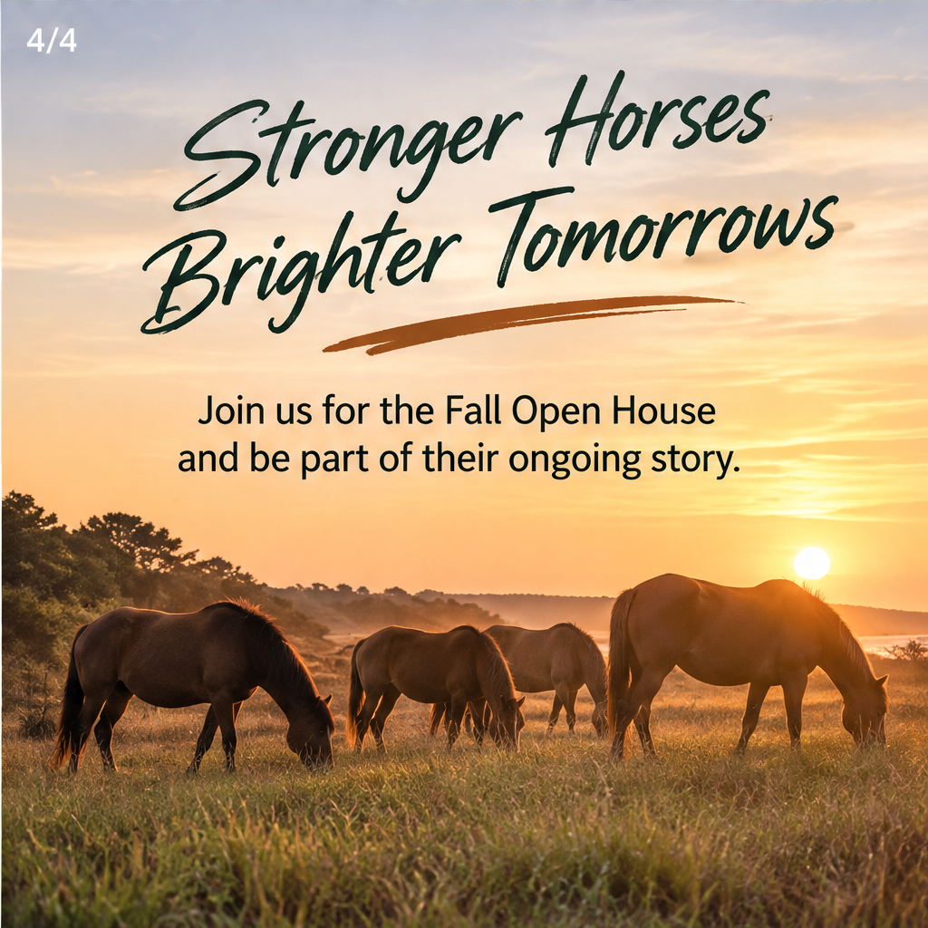 Fall Open House at the CWHF Farm — slide 4 of 5