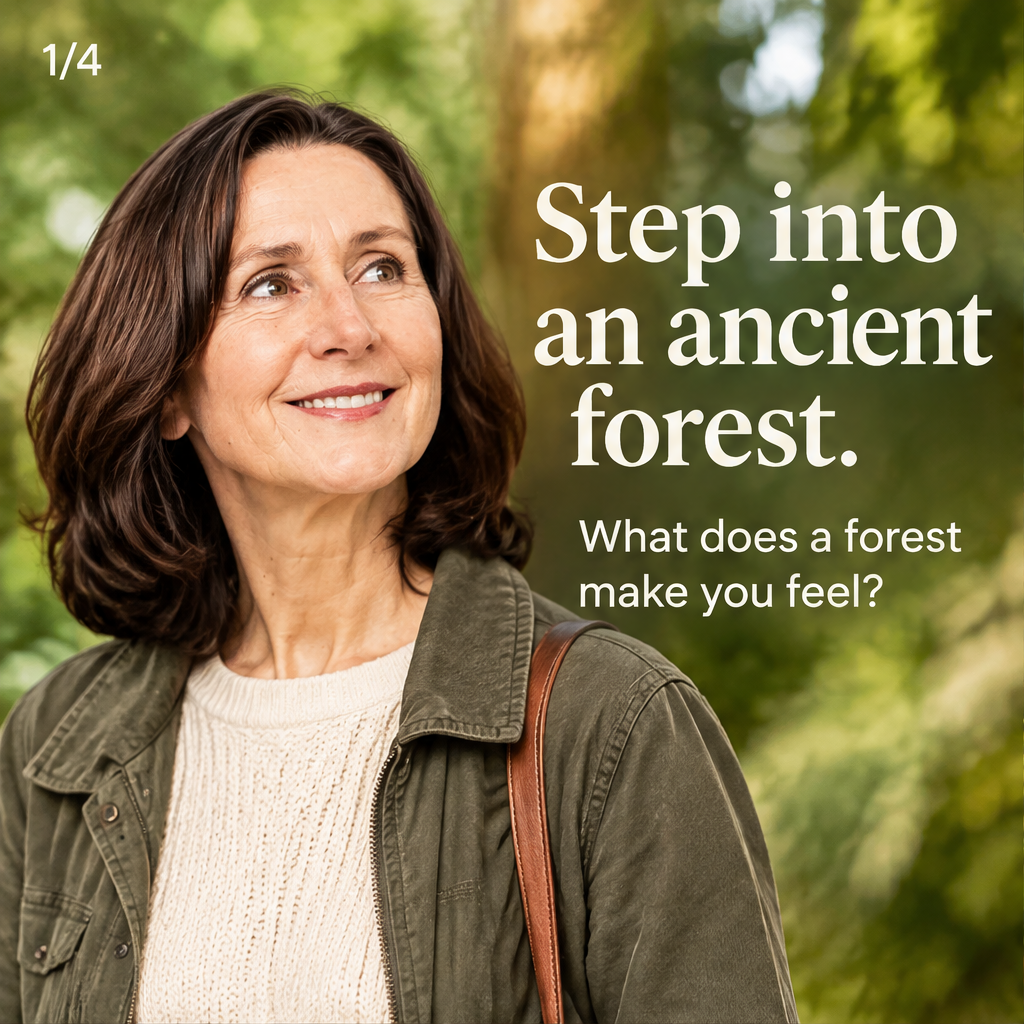SANCTUARY: The Ancient Forest Experience — slide 1 of 5