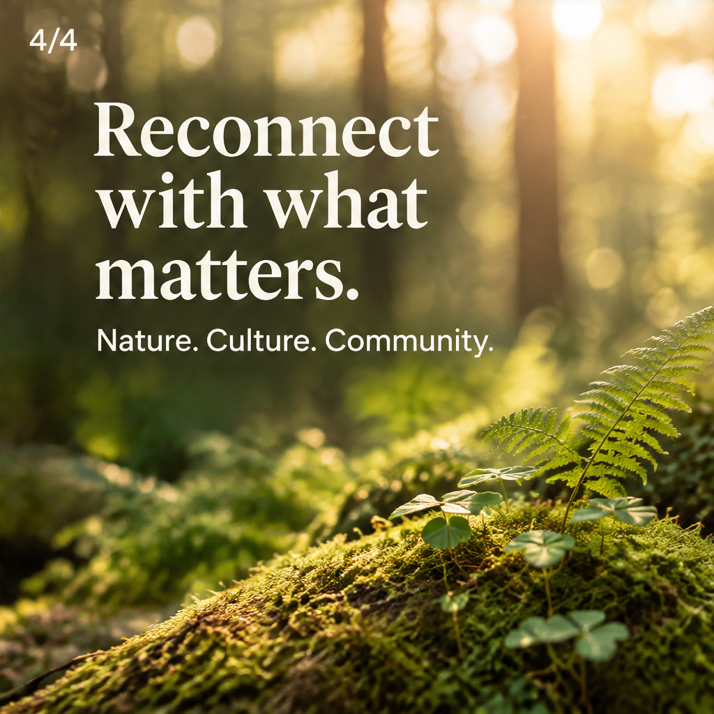 SANCTUARY: The Ancient Forest Experience — slide 4 of 5