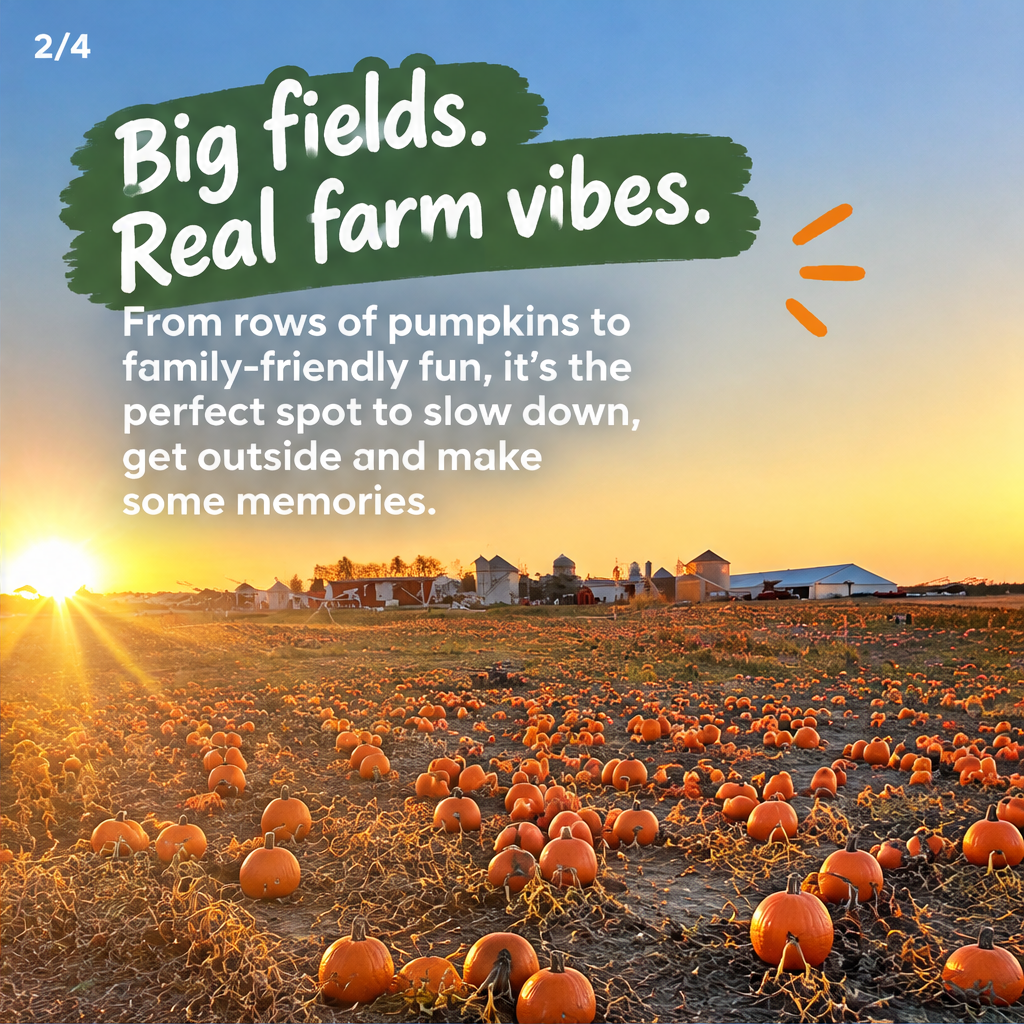 Dehns Pumpkins — slide 2 of 5