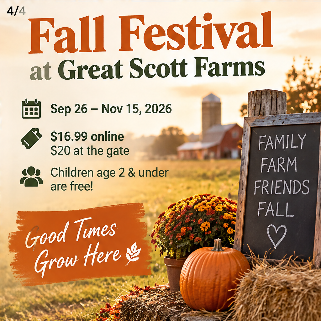 Fall Festival — slide 4 of 4