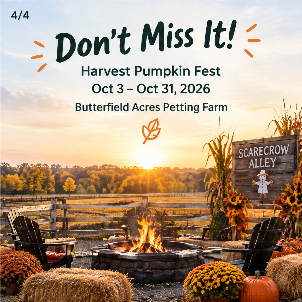 Harvest Pumpkin Fest — slide 4 of 5