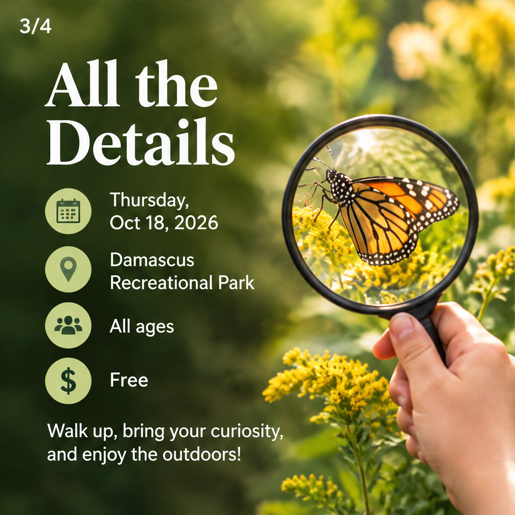 Nature on Wheels: Nature Center Pop-Up — slide 3 of 5